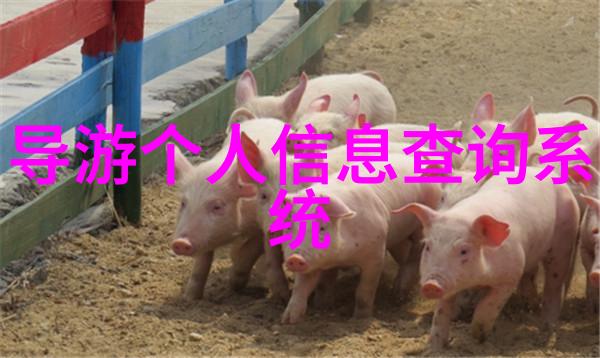 青岛美食攻略吃货 - 品味海城青岛美食攻略不容错过的吃货必游地