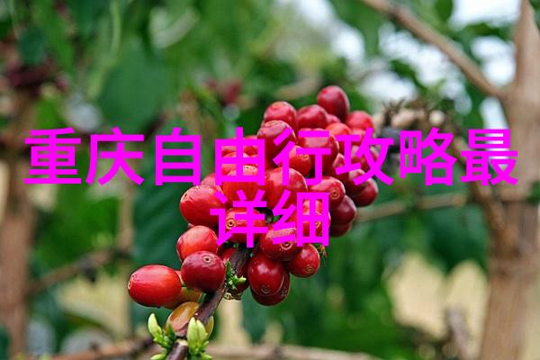 让孩子成为主厨简单自制冰淇淋心得分享