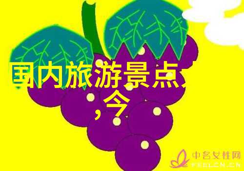 南京网红美食 - 南京小吃大冒险追逐口味的网络红人行列
