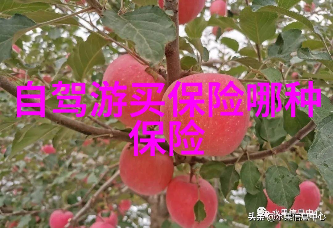 上海近郊民宿推荐 - 探秘上海周边隐秘的民宿宝藏品质旅行的新选择