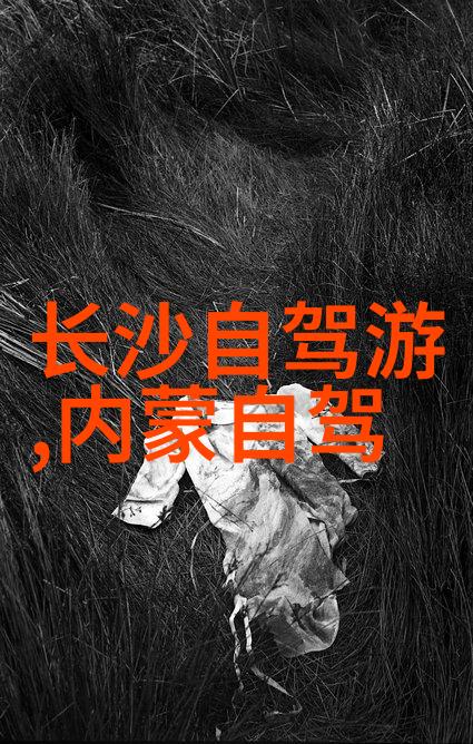 我的旅行奇遇从一地到另一地的笑声与泪水