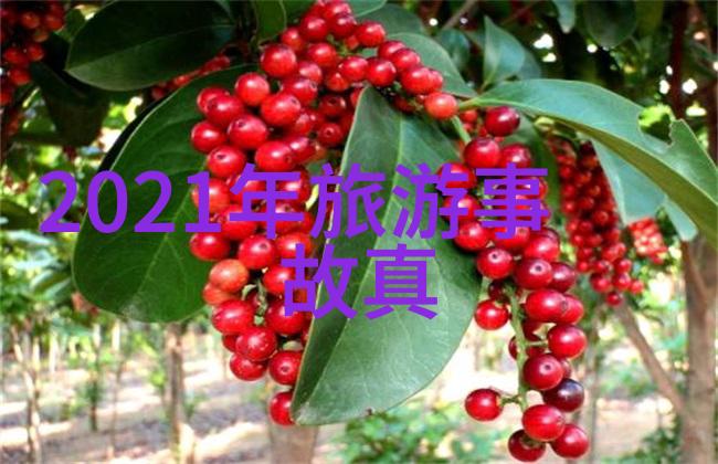 重庆天星酱园景区推出新体验活动品尝独特酱料探索传统工艺