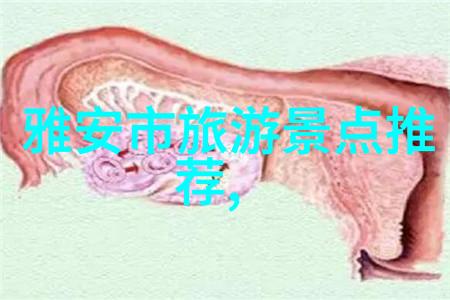 数据驱动呼和浩特新建冰雪场免费开放方案分析