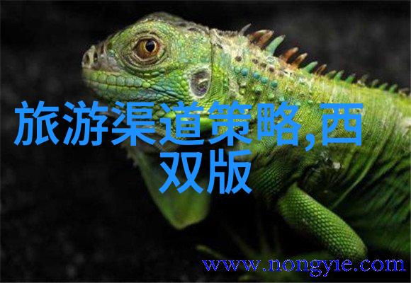 从0到速入门公路车的笑话之旅