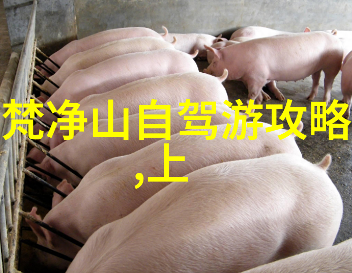 东北春色大连旅游自由行指南