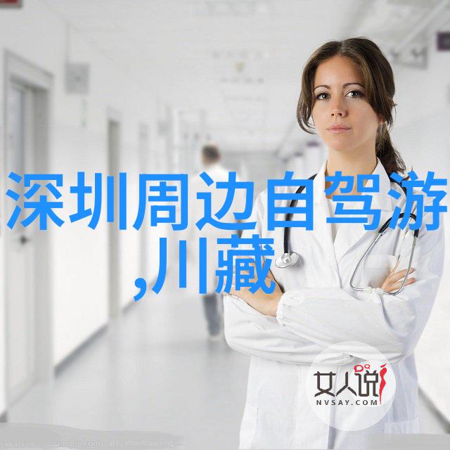 组织高效团队建设通过户外活动促进团队合作