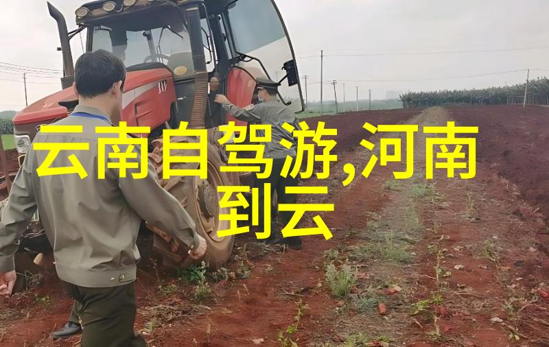 欧洲古城巡游探索罗马巴黎和阿姆斯特丹的文化遗产