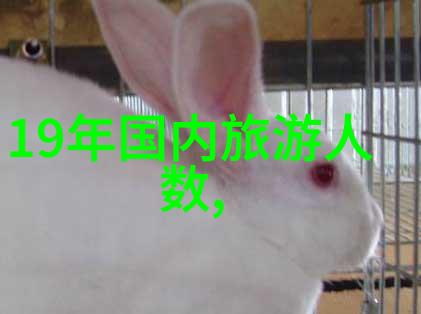 外滩夜市上的魔法怎样才能品尝到最 authentic 的味道