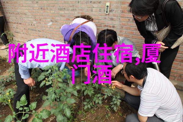 创意爆炸幼儿园100个推动发展的互动项目