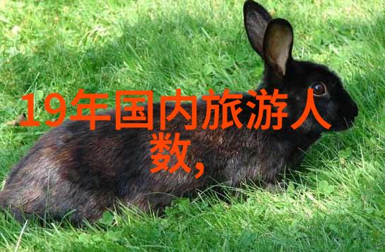 云南自驾游我的五天四夜冒险记