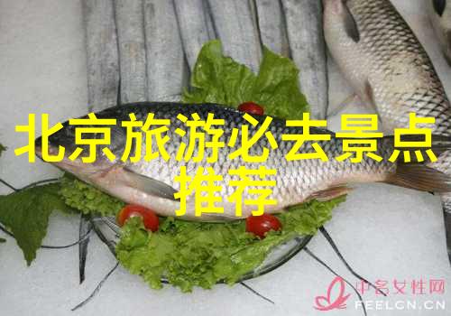 水城迷雾意大利威尼斯水道系统有哪些未解之谜