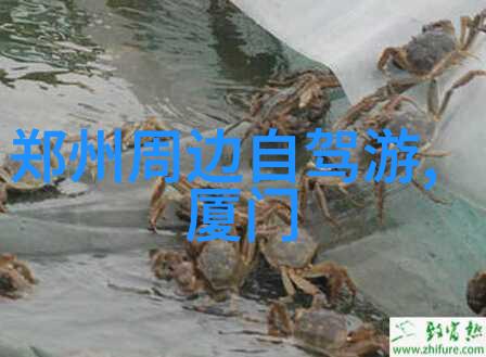 宁波古韵美景探索江南水乡的文化与自然之冠