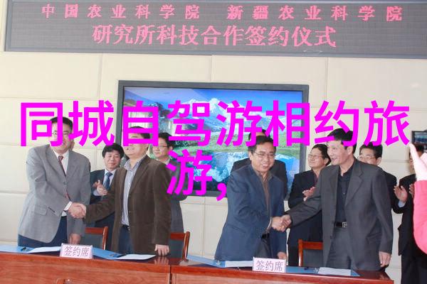 在全球范围内这些骑行者有没有受到特别关注或荣誉呢