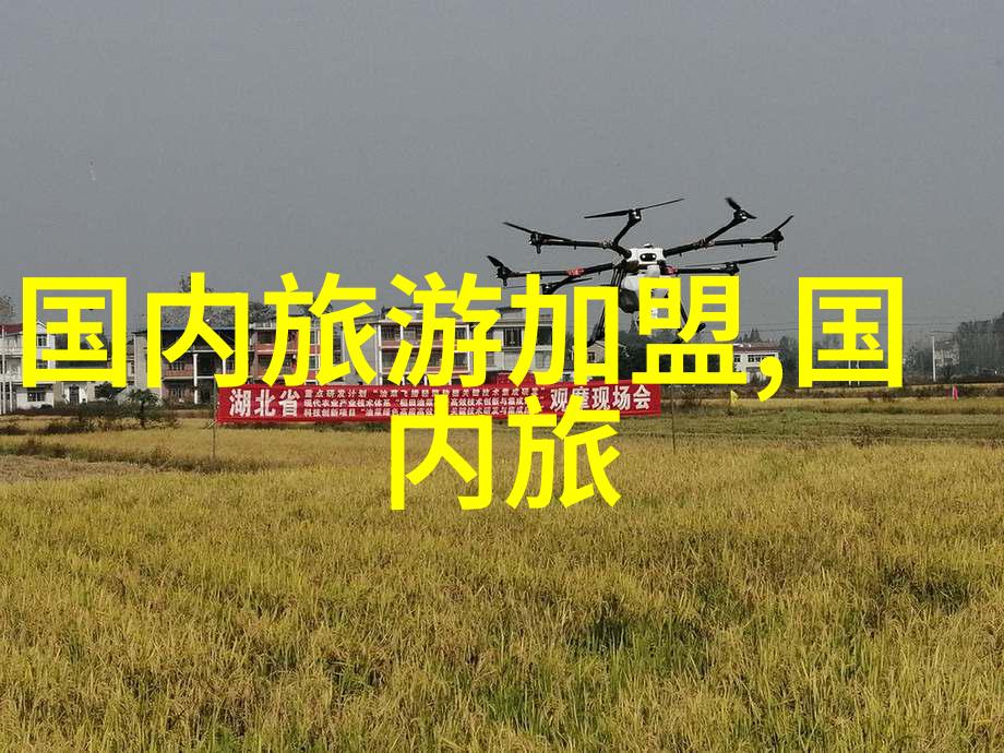 从贵州探寻自然之美潼南崇龛油菜花景区游览攻略