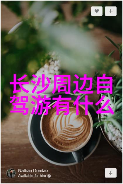 上海小吃一条街-探索上海的味道南京路小吃一条街的故事