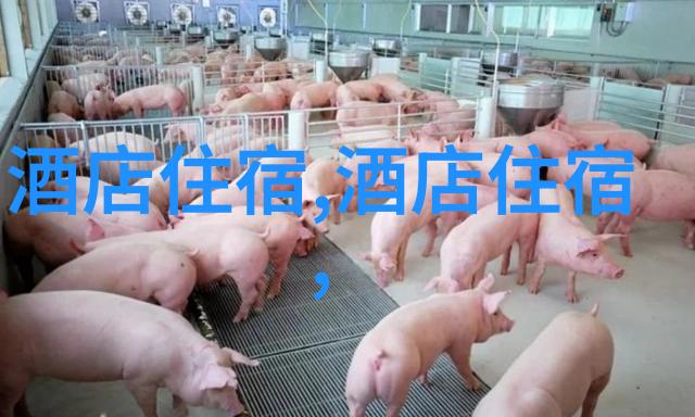 探索南京美食秘密揭秘十大必吃馆子