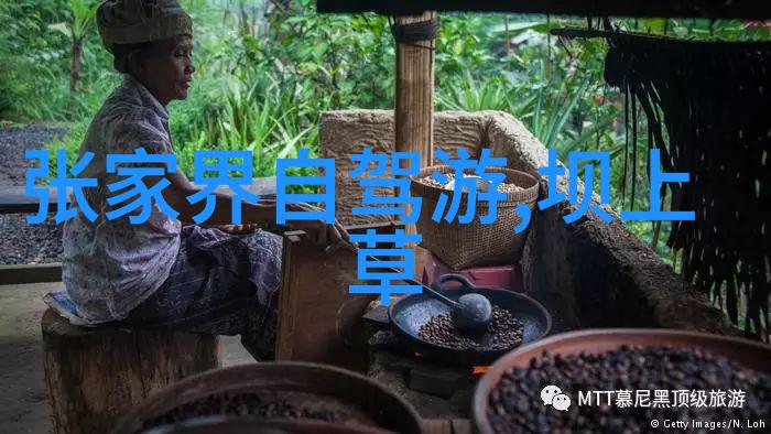 翠峦环抱的仙境国内最佳竹林景观