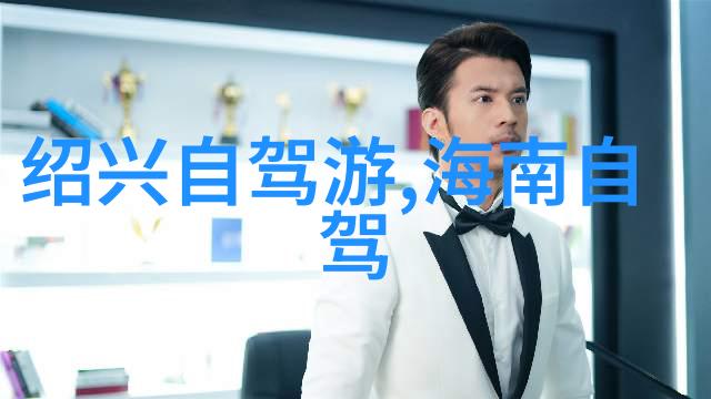 简单烹饪大师轻松创作美味佳肴