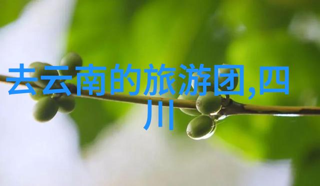 成都自驾游腾冲奇遇记