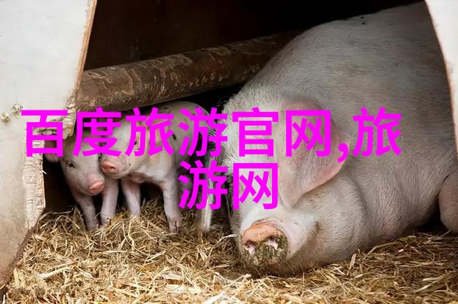 在安康你可以体验什么样的户外运动