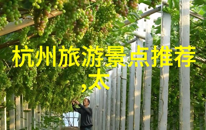 在北京同仁医院探求健康之旅时亲子们能享受一小时的疗愈时光吗
