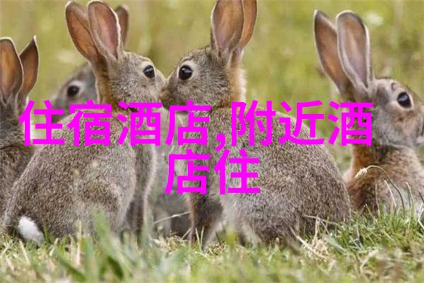 爱哭小嫁娘我家媳妇总是这样子