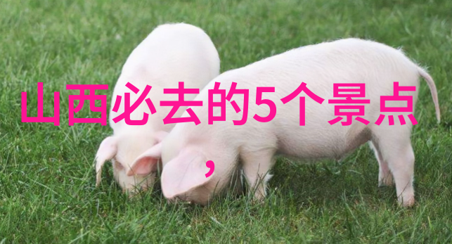 户外探索微观世界的奇迹