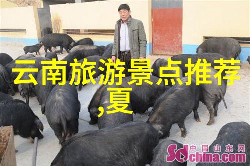 西安亲子游记探索城市魅力与童趣天堂