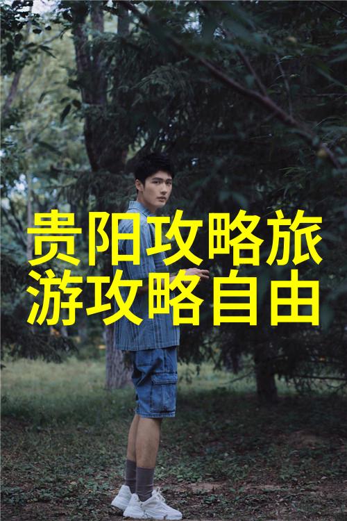 西双版纳酒店的特色服务有哪些让游客感到特别