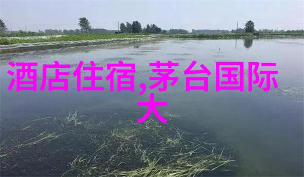 招惹是今时尚潮流的新宠儿