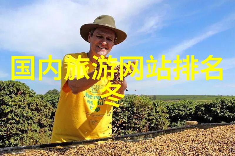 全球五星级酒店集中在哪里它们为游客提供了什么特别体验