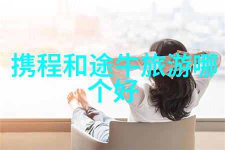 日本茶道之美体验一种悠闲而精致的生活方式
