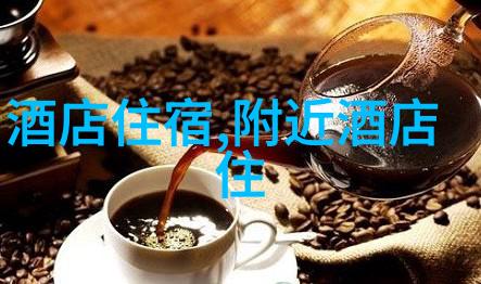 主题我在苏州的自驾冒险揭秘古韵与现代魅力