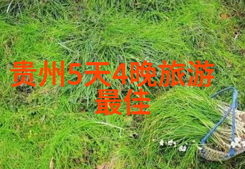 普陀山的秘密花园探寻佛教艺术与自然和谐的奇迹