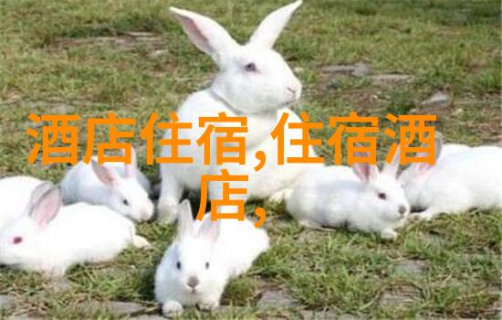 旅游-探索未知解答您关于旅游的所有疑问