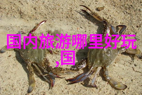 游览大足鼠标山体验当地人午后的快乐时光