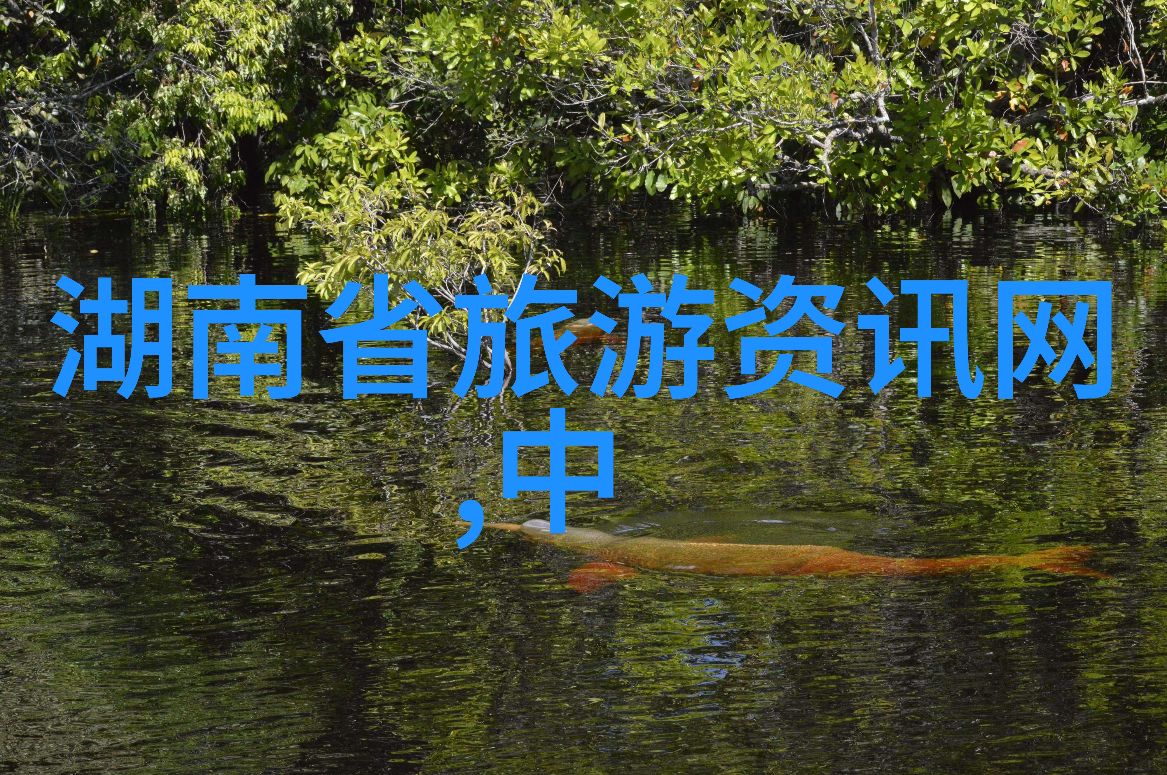 游记如何写好我的笔下旅行故事