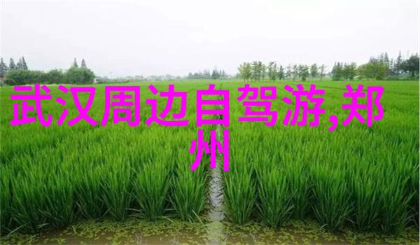 杭州景点推荐-探秘西湖美景与古迹一日游必访之地