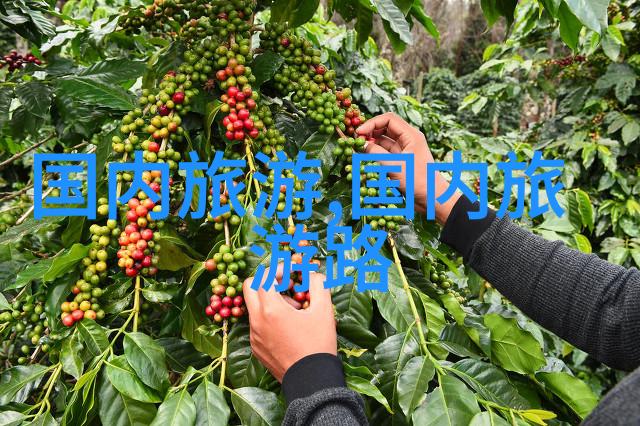 恶魔的小宠妻我的天使般的噩梦