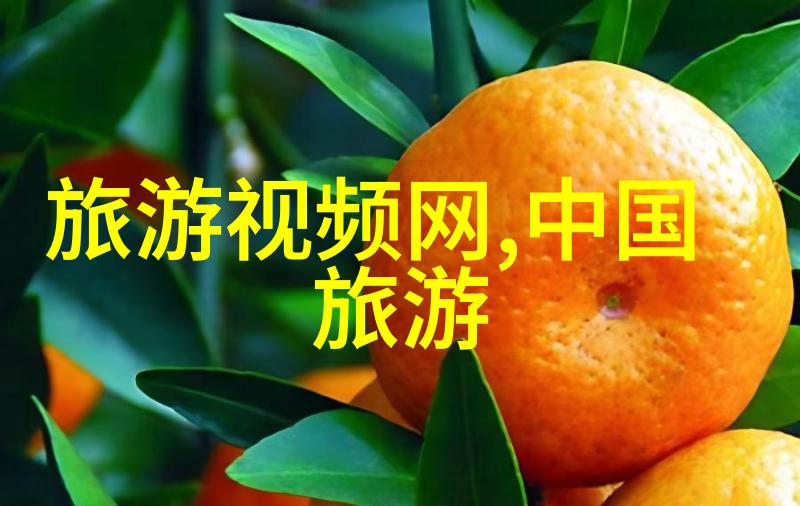 小学生户外活动方案-绿色校园探索增强孩子们的自然观察力与团队协作能力