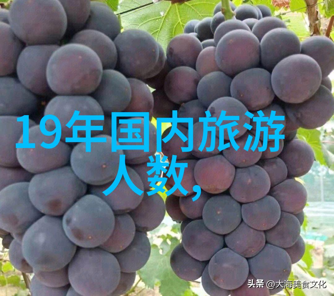 如果只有一晚应该选择何种类型的住宿环境更好一些