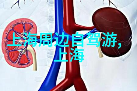 探索中国美丽揭秘最有魅力的国内旅游路线