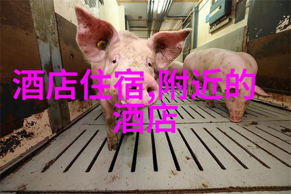 探索故土奇迹国内旅游线路的未知宝藏有哪些