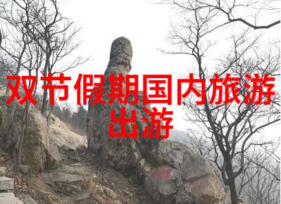 数据驱动跟团游与自由行比较分析