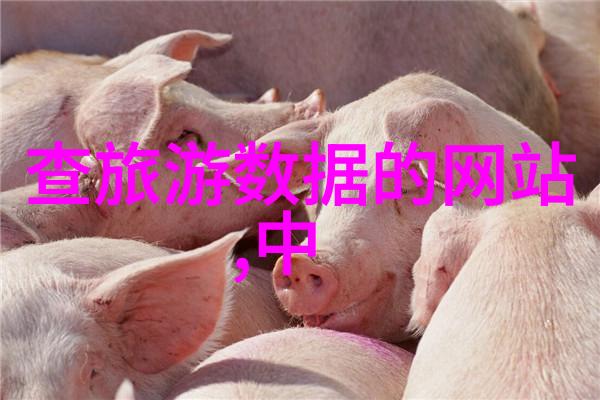 东北雪乡的最佳旅游时光冰封的美丽与温暖的故事