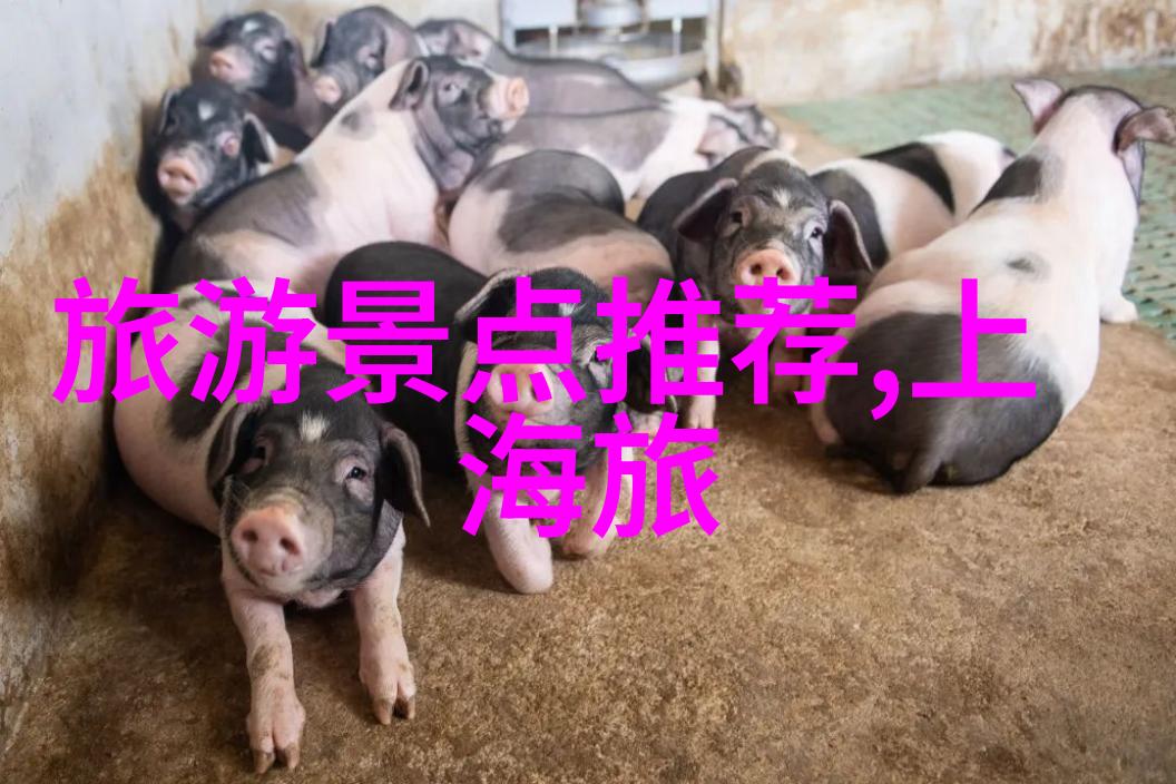 阳台到卧室的每一步旅程