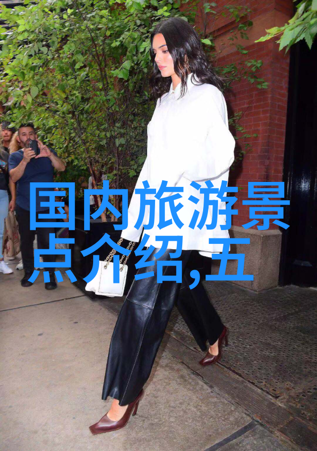 远方探秘海外旅行社的奇遇与发现