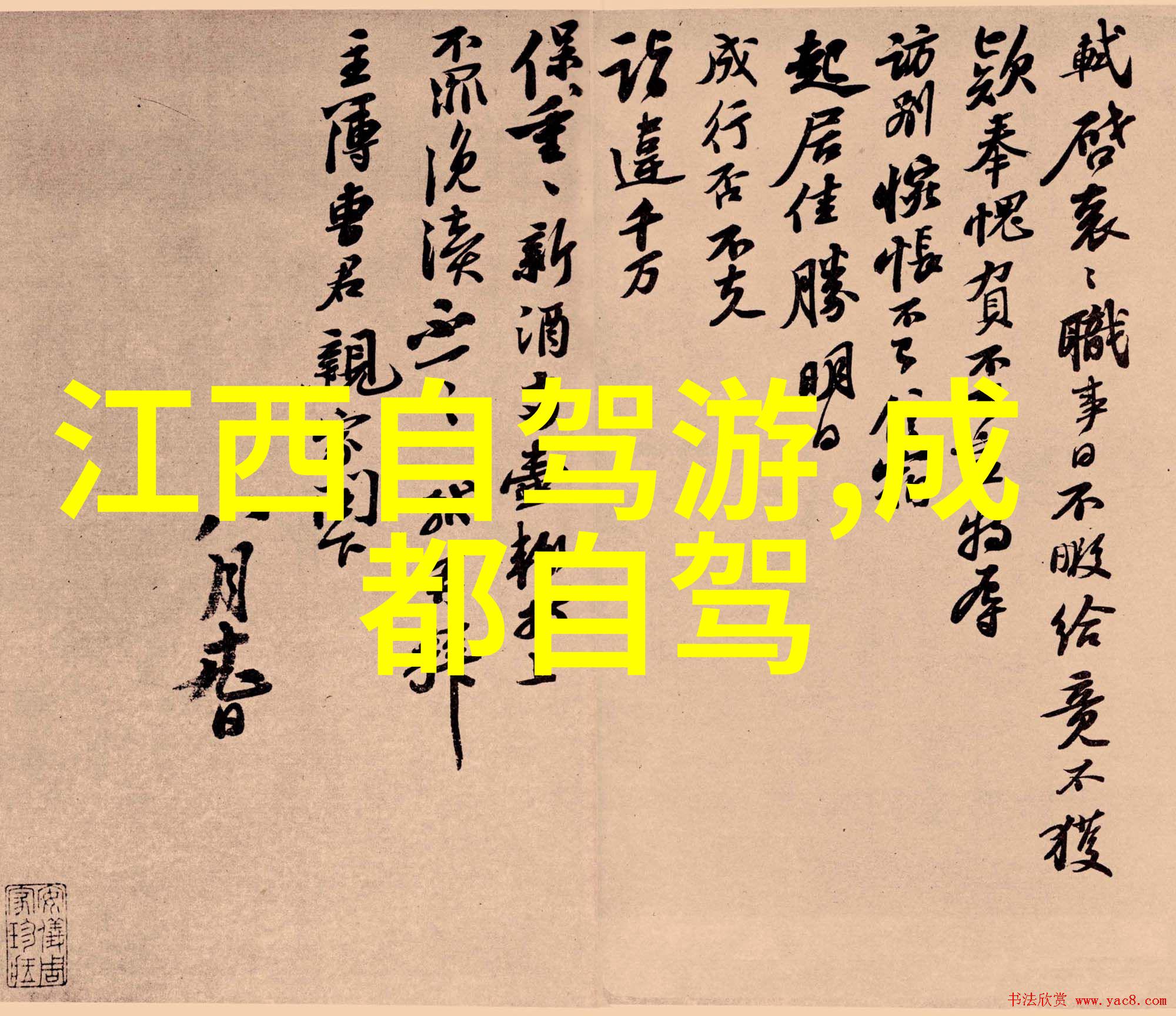 骑行速度挑战一小时20公里快车轮下如何飞驰