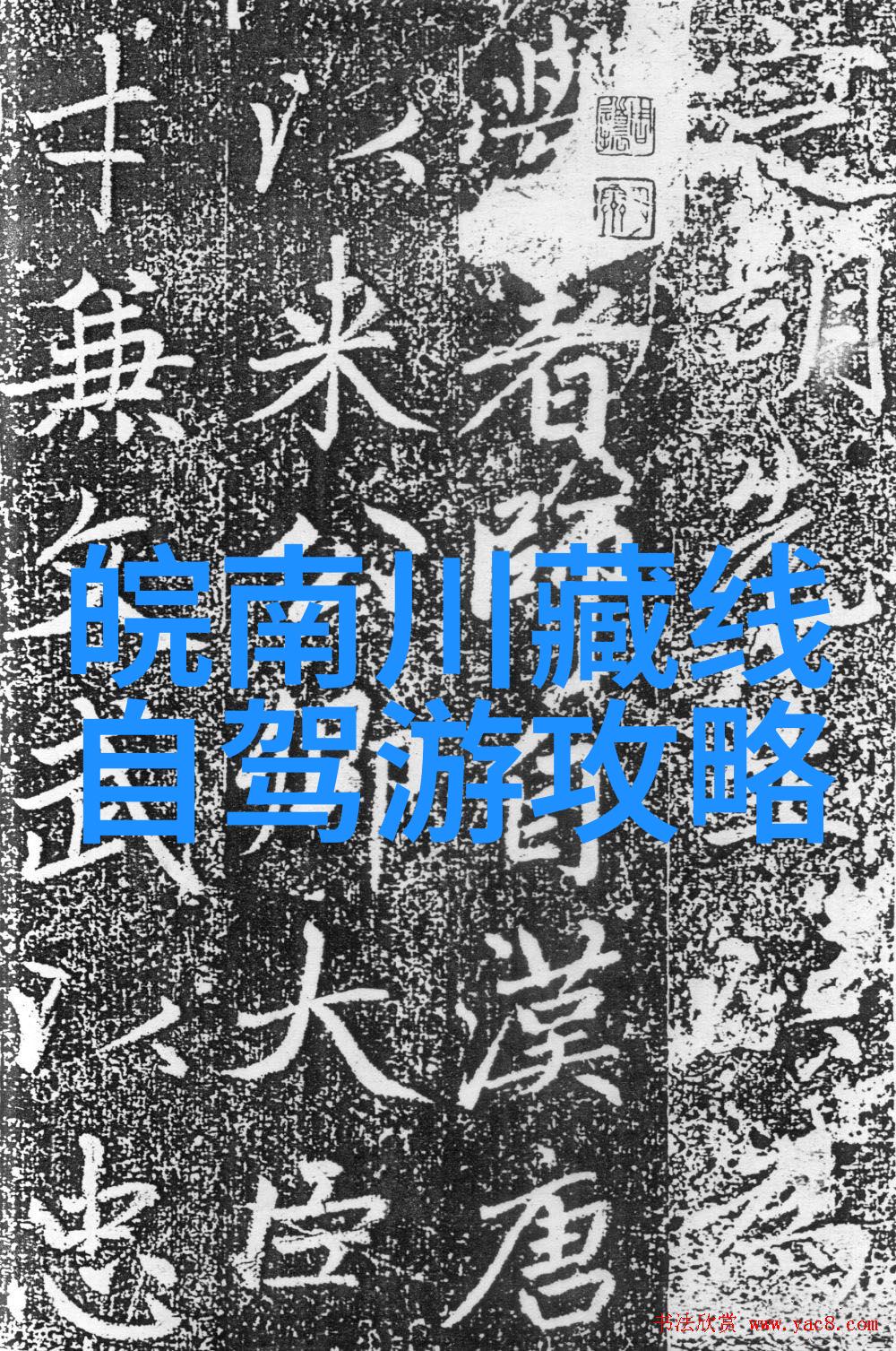 山地车入门骑士的初恋故事