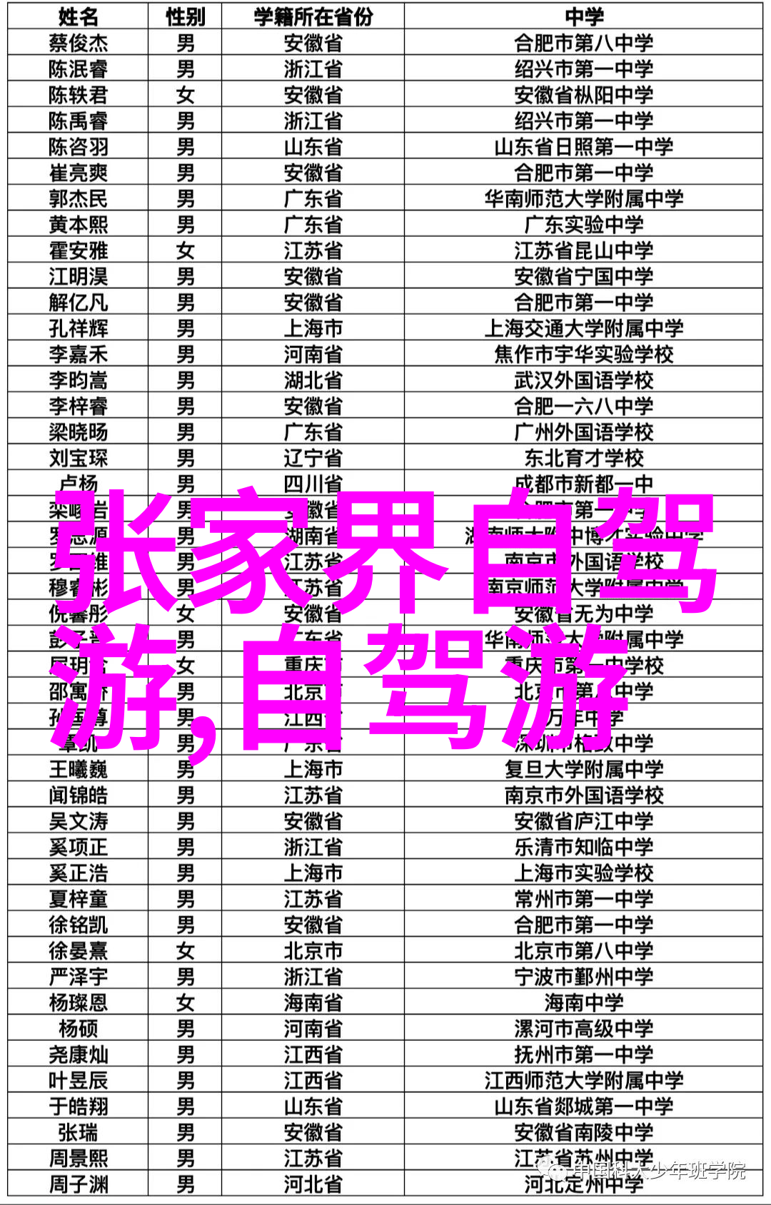 大理丽江旅游中的三亚民宿选择攻略一场人物的旅行故事